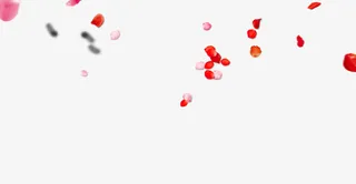 花瓣素材背景梦幻