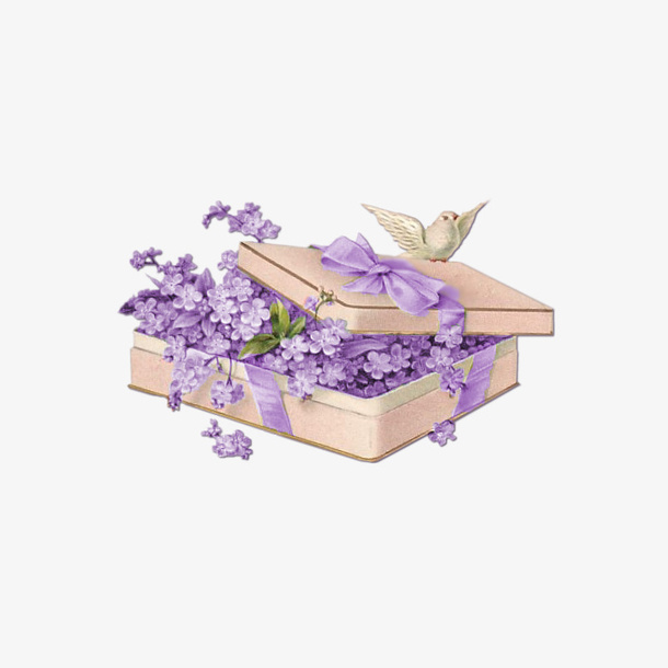 鲜花礼盒鸽子免抠
