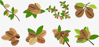 矢量图油脂较高的食物免抠