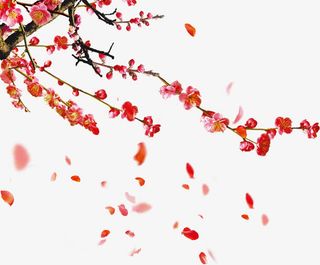 彩色复古梅花树枝免抠