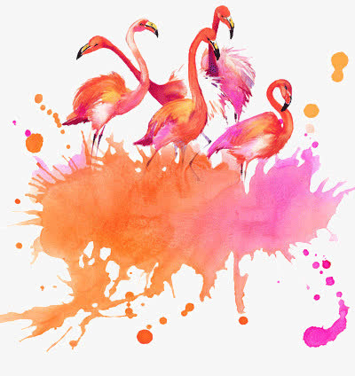 水彩火烈鸟免抠