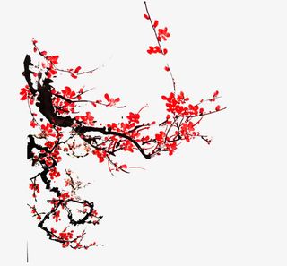 水墨水彩梅花手绘免抠