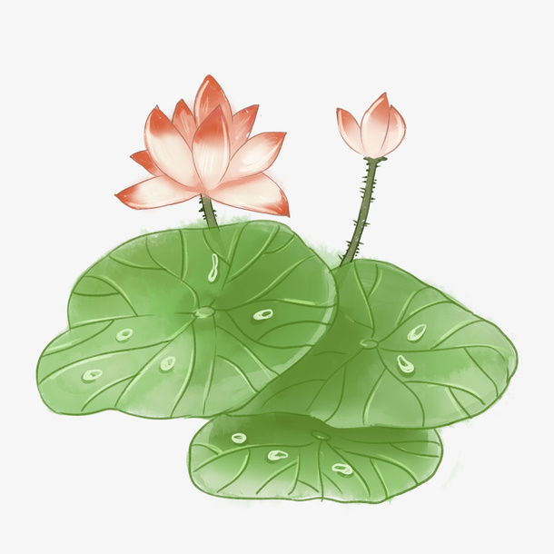 荷花手绘PNG素材免抠