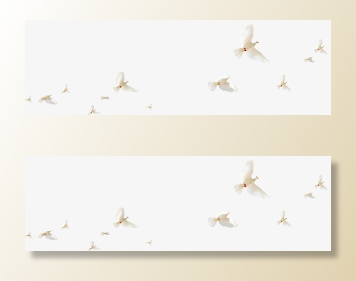 春天飞翔的动物装饰免抠装饰动物元素