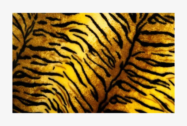 老虎皮纹路免抠