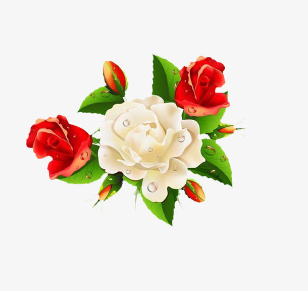 鲜花免抠
