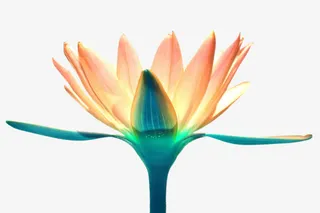 创意卡通手绘花朵免抠