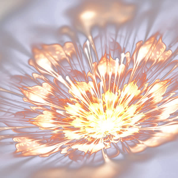 花朵光效免抠