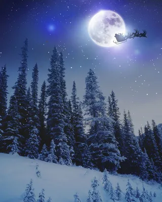 简约梦幻圣诞节广告高清