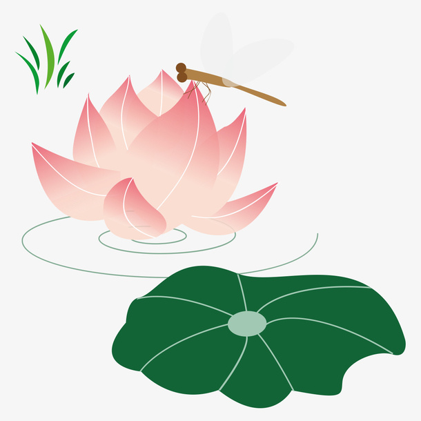 立夏手绘荷塘莲花荷叶蜻蜓插画免抠