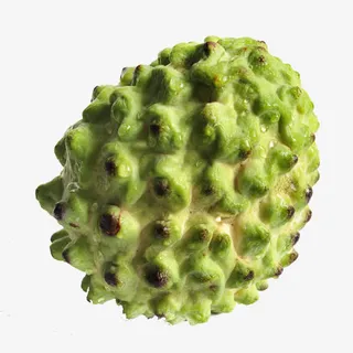 凤梨释迦果免费下载免抠