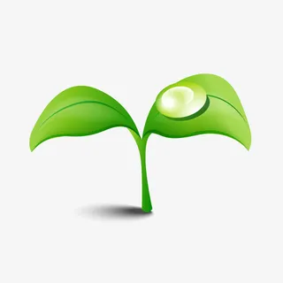 树苗免抠 树苗免抠