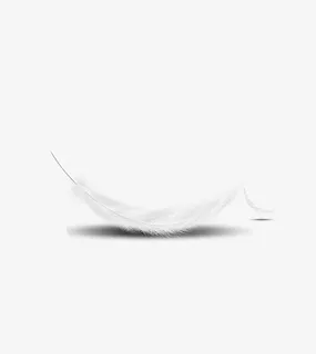 白色羽毛 飘逸免抠漂浮其他元素 白色羽毛 飘逸免抠漂浮其他元素