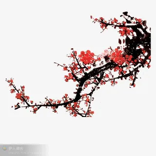 盛开梅花水墨画免抠