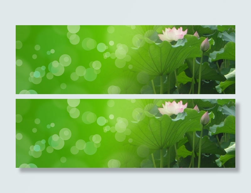 荷花光晕背景高清