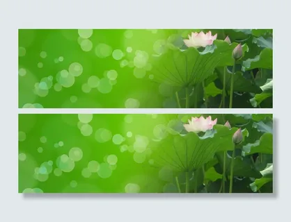 荷花光晕背景高清