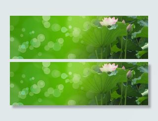 荷花光晕背景高清