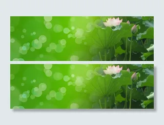 荷花光晕背景高清