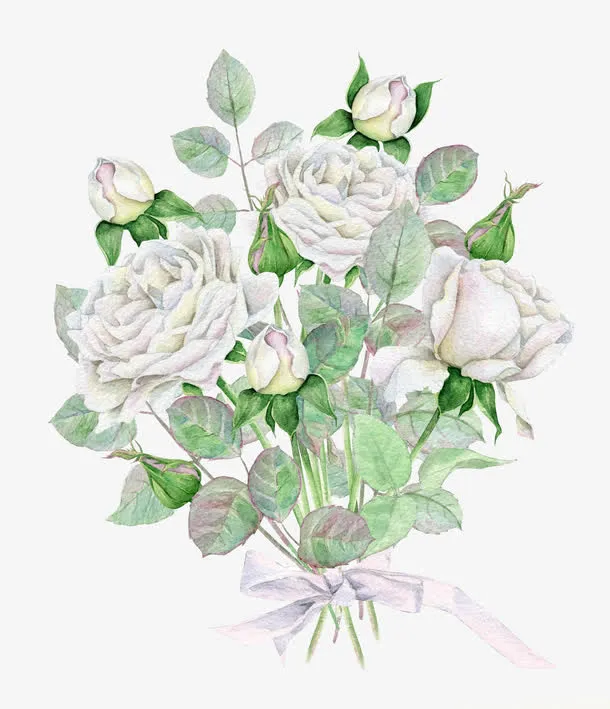 玫瑰花束免抠
