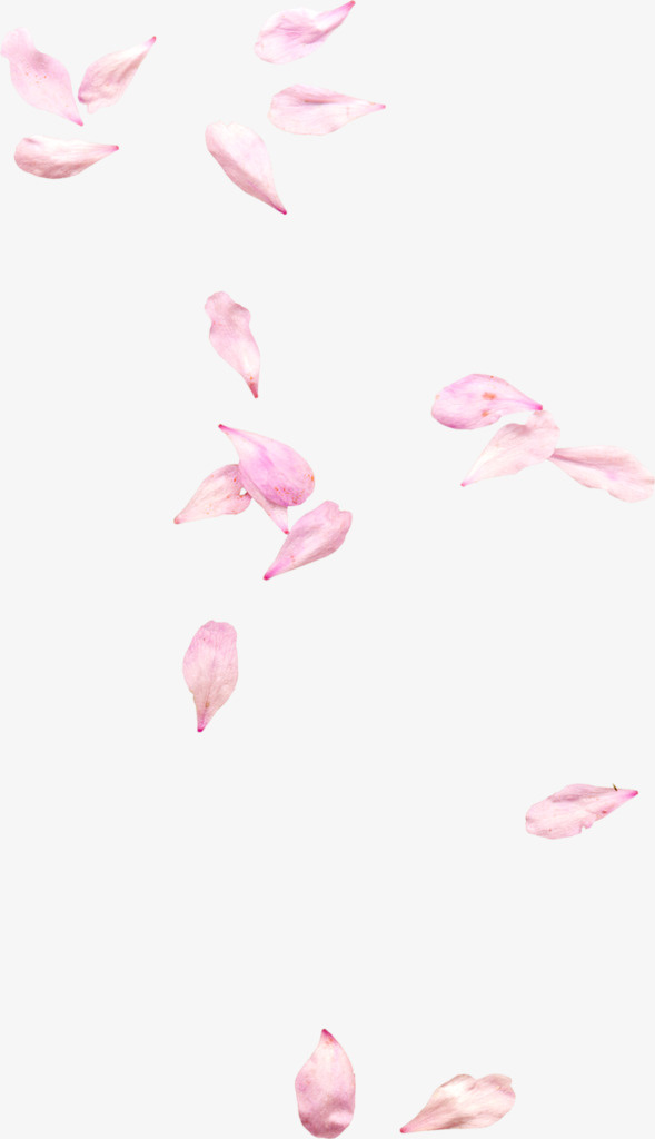 粉色花瓣免抠