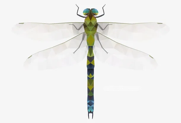 蜻蜓，png，免扣素材免抠