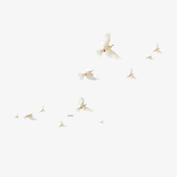 节日成群飞翔的鸽子免抠