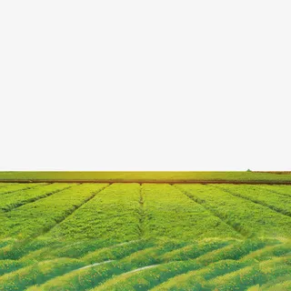 唯美大自然风景免抠