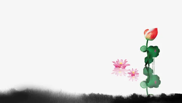 荷花免抠