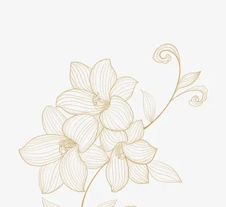 金线描花卉植物免抠其他元素