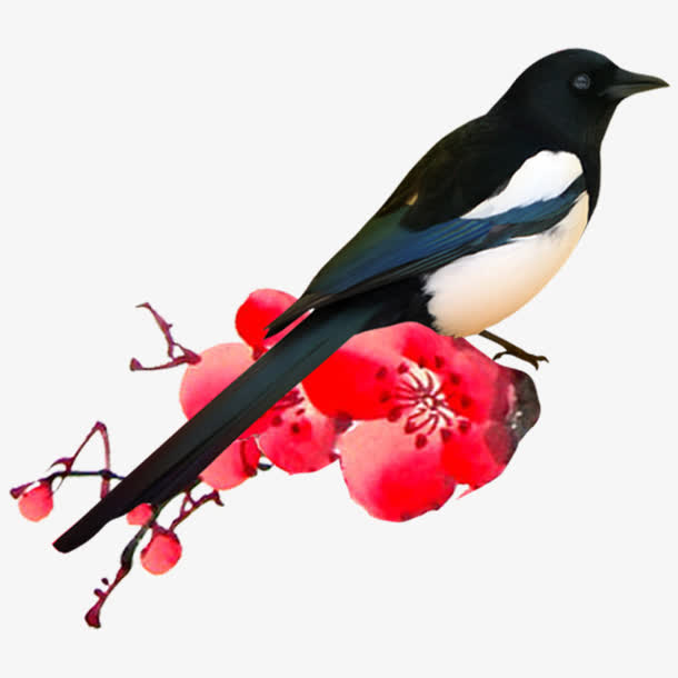 梅花和燕子免抠