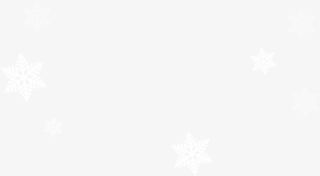 白色星星雪花免抠