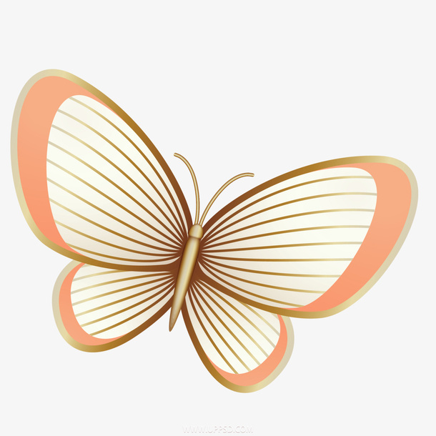 剪纸风金色蝴蝶插画免抠