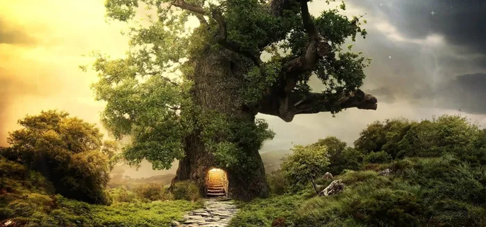 梦幻深林书屋背景高清