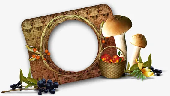 相框相框素材免抠