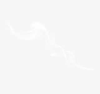 感恩节日梦幻装饰免抠