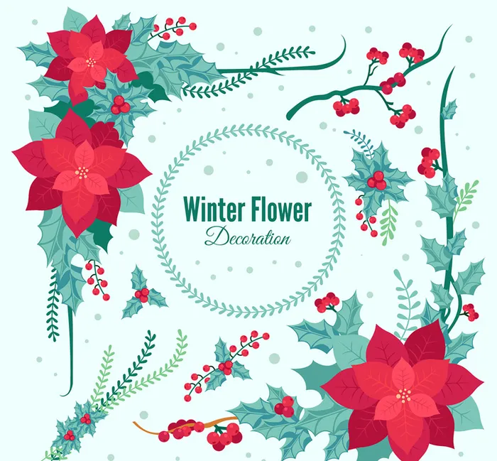 冬季花朵背景素材高清