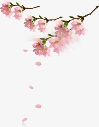 桃花飘过水面七夕免抠