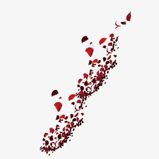 玫瑰花瓣飘落免抠