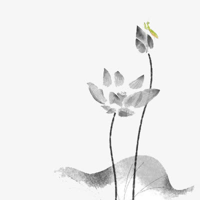 水墨荷花免抠