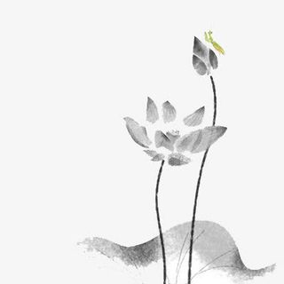 水墨荷花免抠
