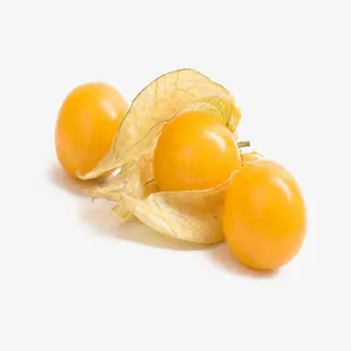 哥伦比亚龙珠果免抠