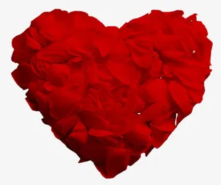 爱心玫瑰花免抠