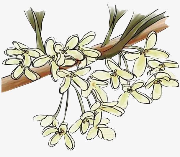 漫画桂花花瓣免抠