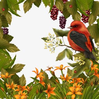 最美相框118免抠