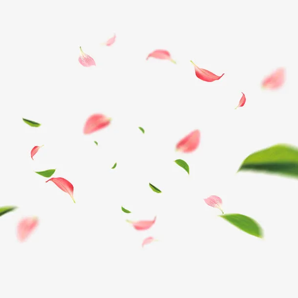粉色桃花花瓣设计元素免抠