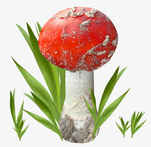 蘑菇免抠