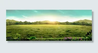 奇幻森林背景高清