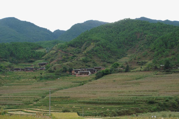 春意盎然的山坡免抠