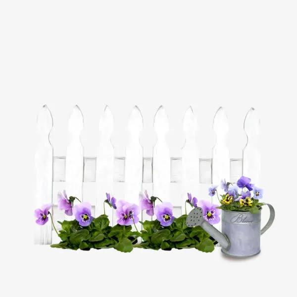 白色栅栏和鲜花免抠