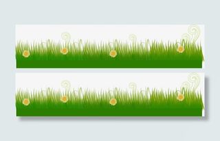 春天草地背景素材